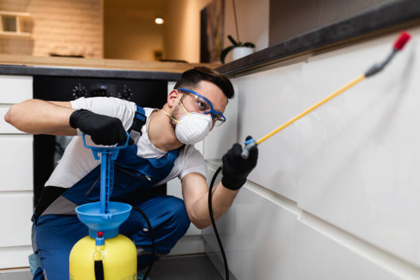Best Pest Removal Services  in Palmer, TX