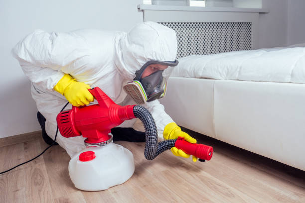 Best Best Pest Control Companies  in Palmer, TX