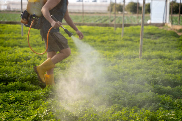 Best Commercial Pest Control Services  in Palmer, TX