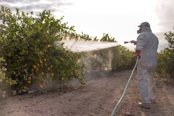 Best Pest Inspection Near Me  in Palmer, TX