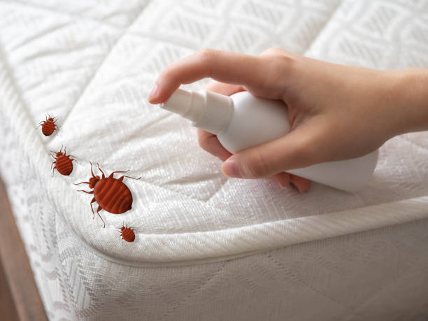 Best Pest Control for Restaurants  in Palmer, TX