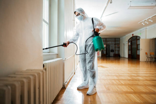 Best Wasp Removal Services  in Palmer, TX
